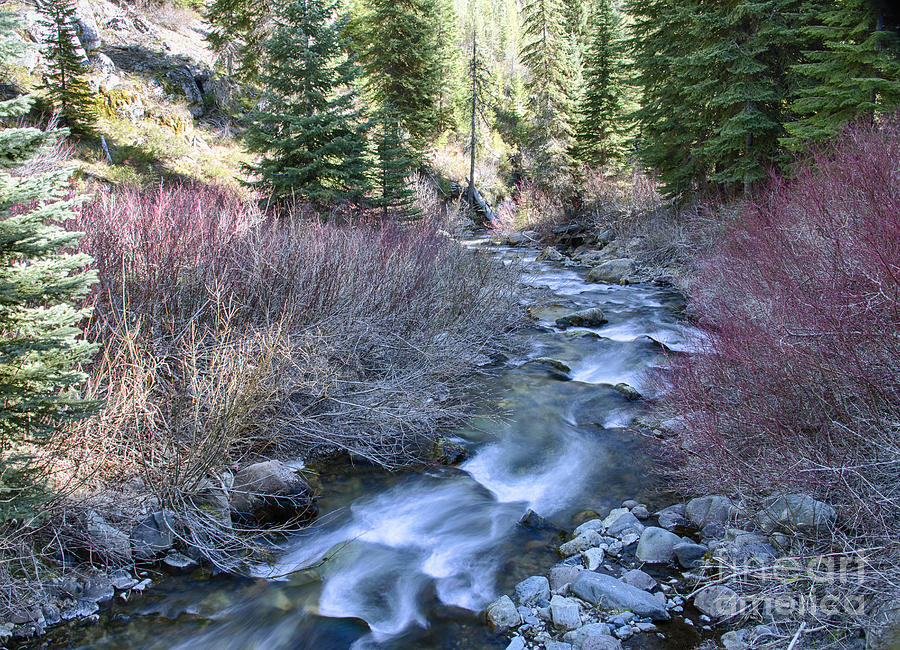 Indian Creek Photograph by Idaho Scenic Images Linda Lantzy