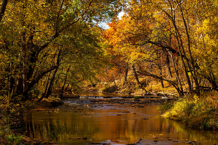 Indian Creek in Fall Color Photograph by Jeff Phillippi