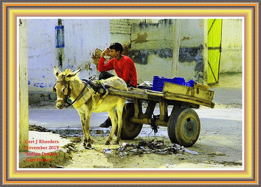 Horse Painting - Indian Donkey Cart Owner H A With Decorative Ornate Printed Frame. by Gert J Rheeders