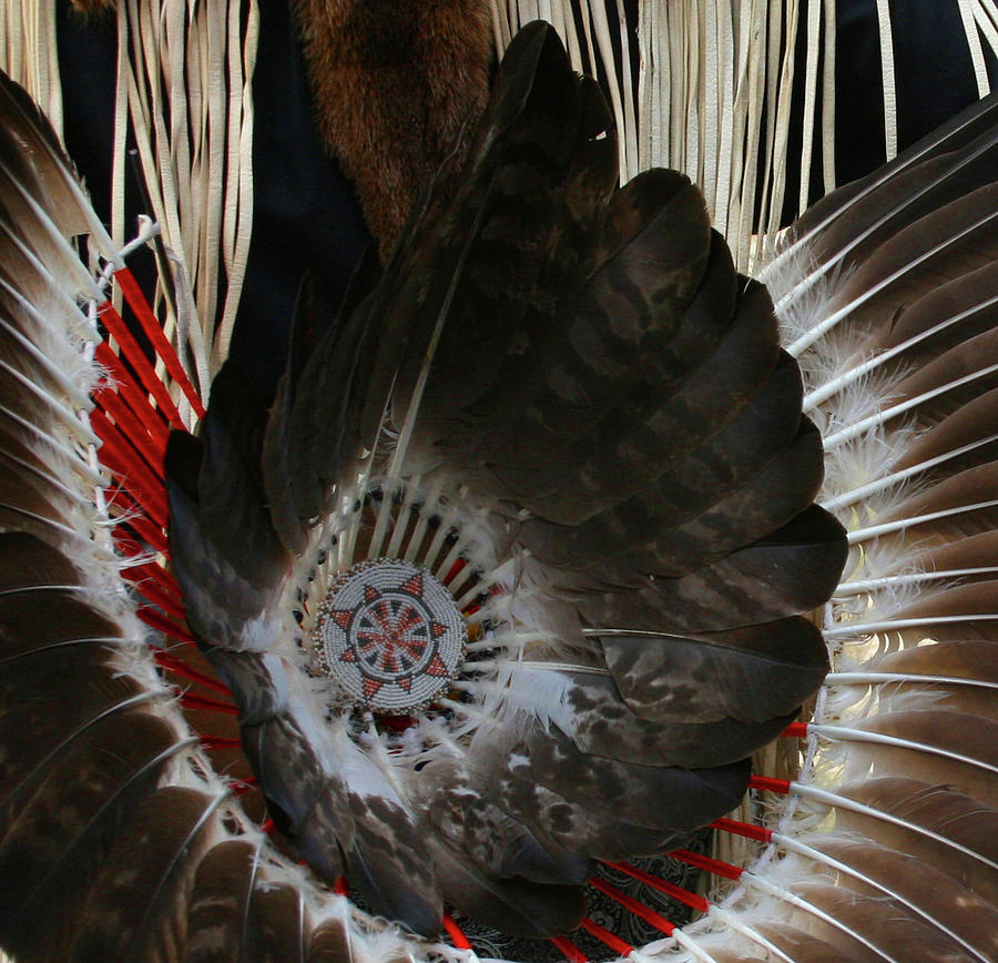 Bird Photograph - Indian Dressage by Cathy Harper
