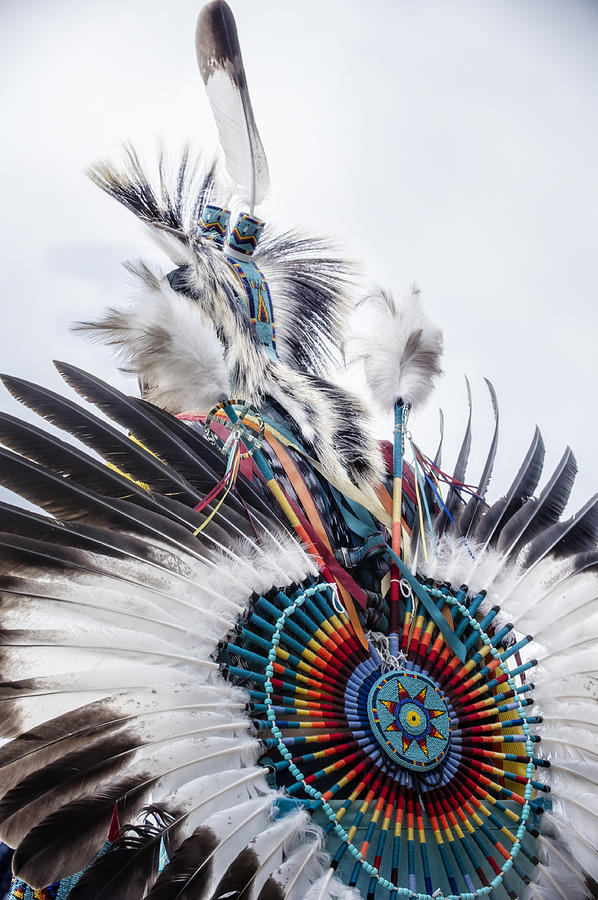 Indian Feathers Photograph by Pamela Steege