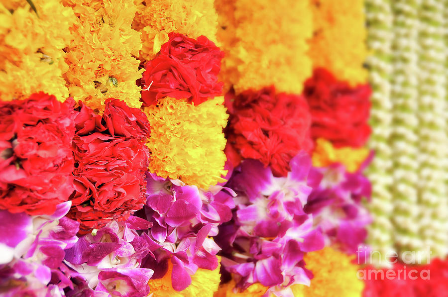 Flower Photograph - Indian flower garland by Delphimages Photo Creations