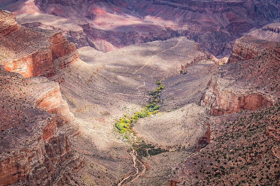Grand Canyon National Park Photograph - Indian Gardens - Grand Canyon National Park Photograph by Duane Miller
