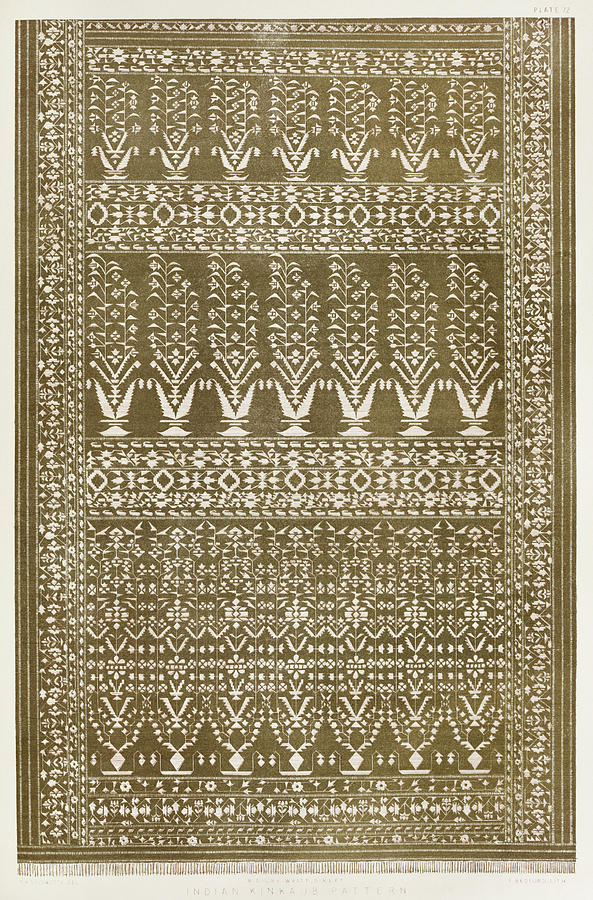 Indian kinkaub pattern from the Industrial arts of the Nineteenth Century Painting by Vincent Monozlay