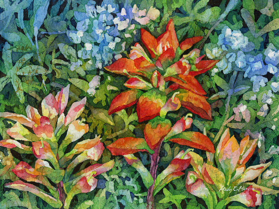 Wild Flower Painting - Indian Paintbrush by Hailey E Herrera