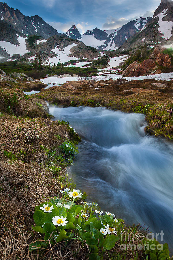 Indian Peaks Wilderness Photograph by Steven Reed