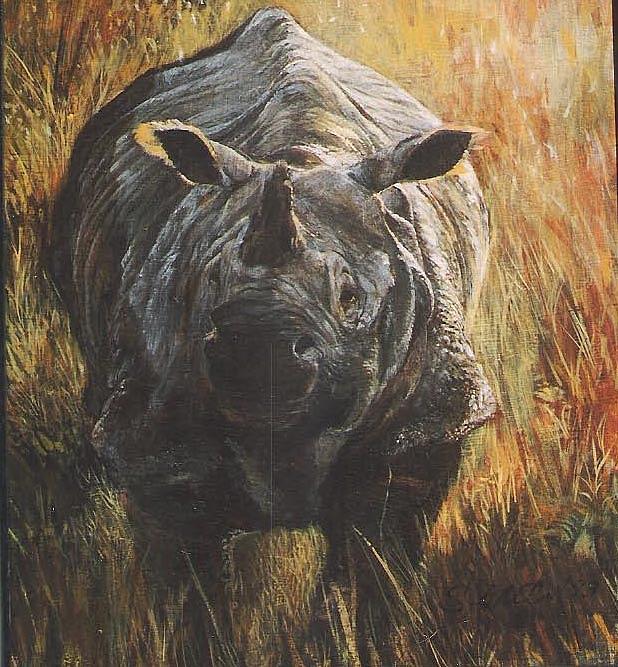 Indian Rhino Painting by Steve Greco - Fine Art America