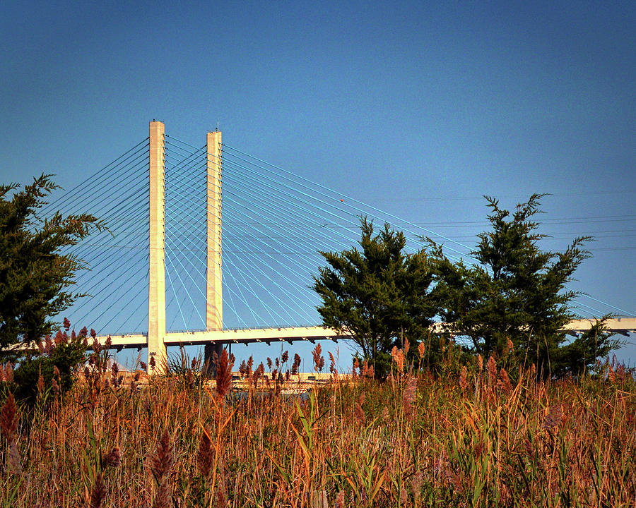 Indian River Inlet Bridge Stanchions Standing Tall Photograph by Bill Swartwout