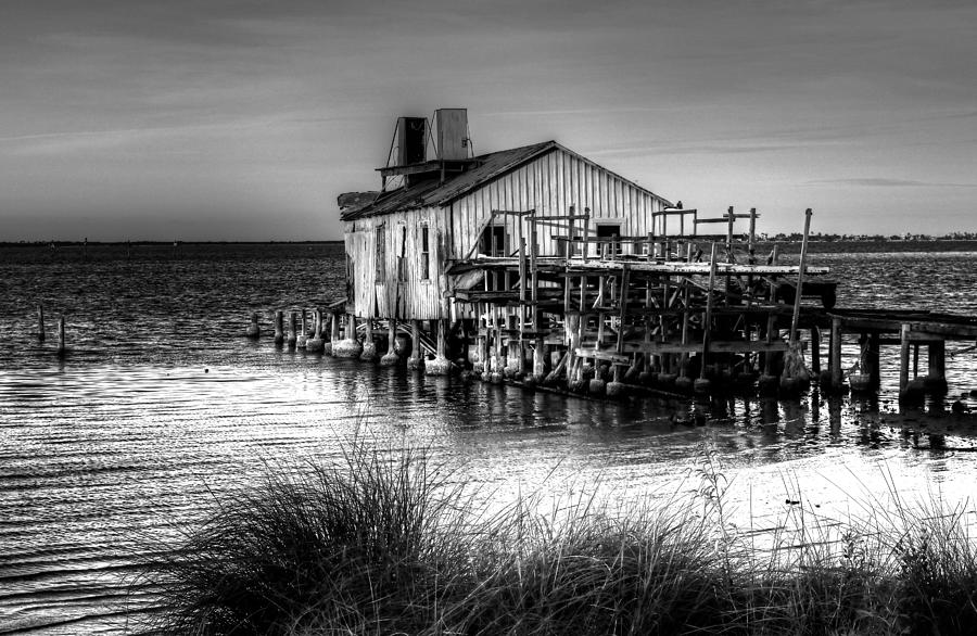 Indian River Old Fish House Photograph by Carol Montoya