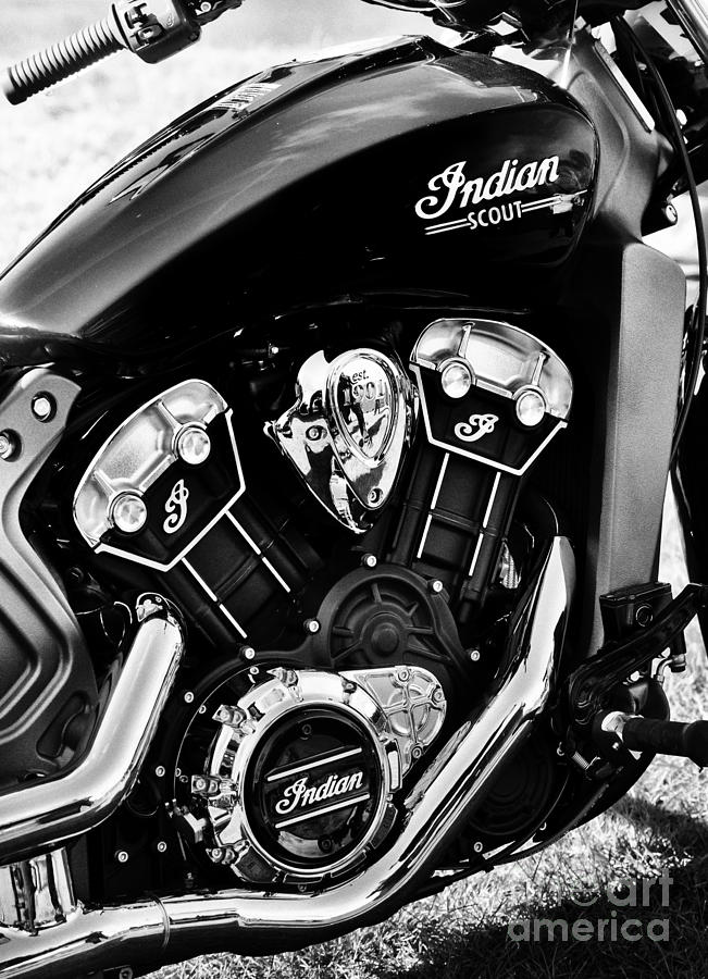 Indian Scout 2015 Photograph by Tim Gainey