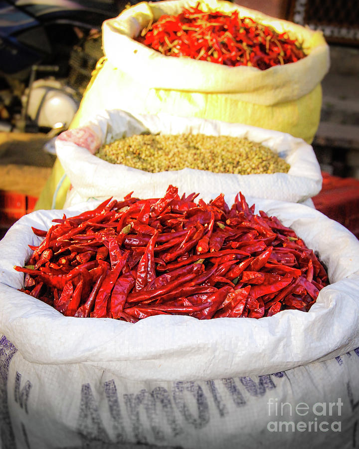 Indian Spices Red Chilli Photograph by Neha Gupta