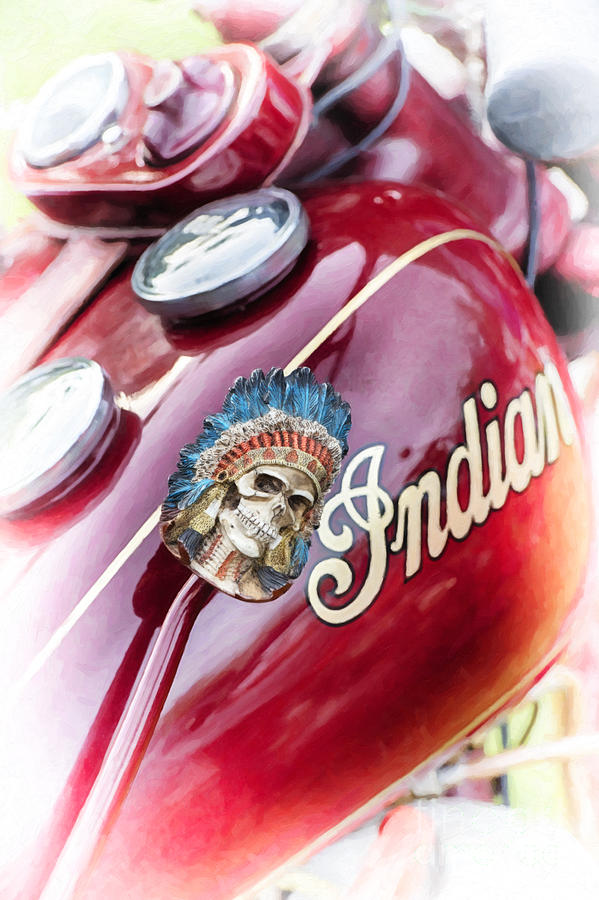 Indian Suicide Shifter  Photograph by Tim Gainey