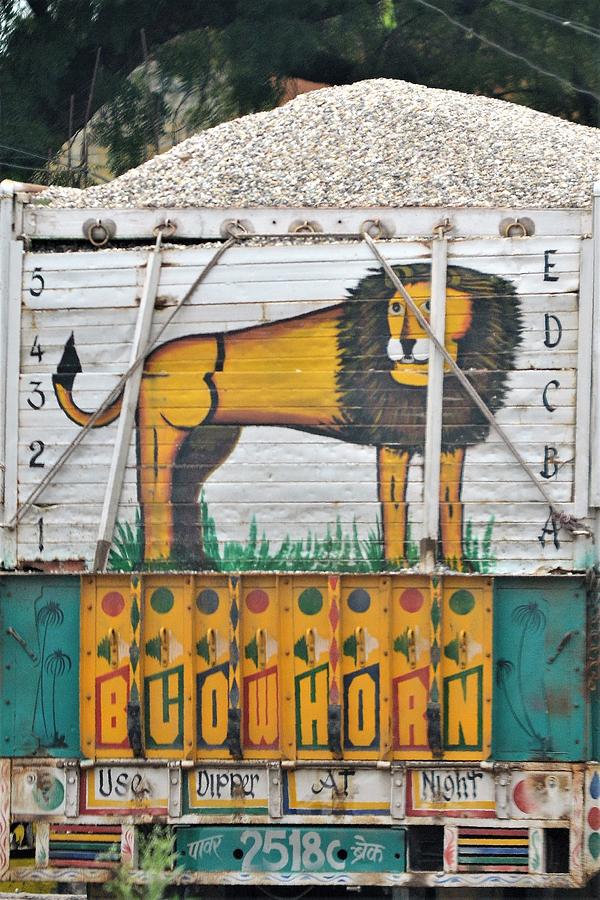 Indian Truck Art Lion Photograph by Kim Bemis