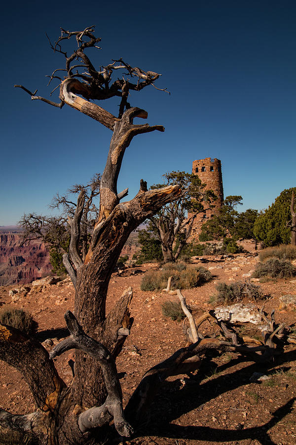 Grand Canyon National Park Photograph -  Indian Watchtower at Desert View by Jeff Folger