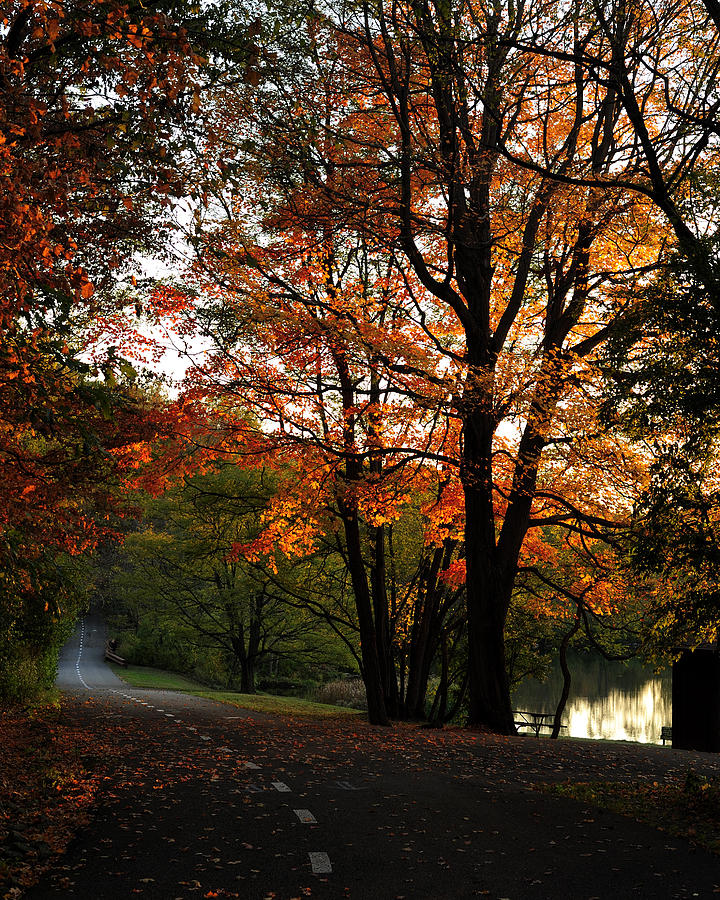 Indianapolis Photograph - Indiana Autumn Glow by Kesavan Venugopal