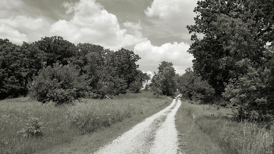 Indiana Backroad Photograph by Scott Kingery