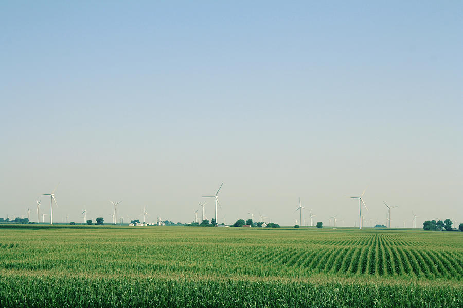 Indiana Corn Fields Photograph by Selena Lorraine - Pixels