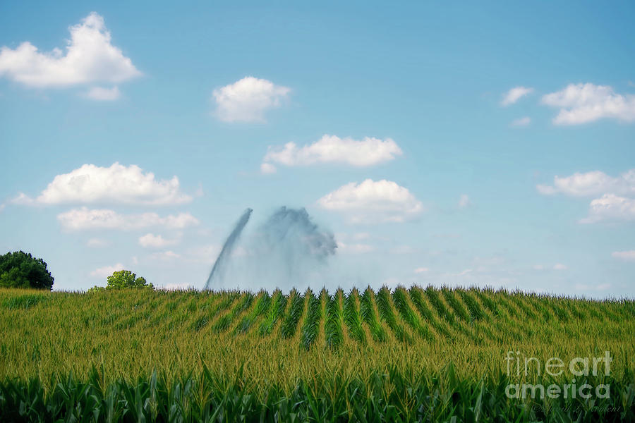 Indiana Corn with Irrigation Photograph by David Arment