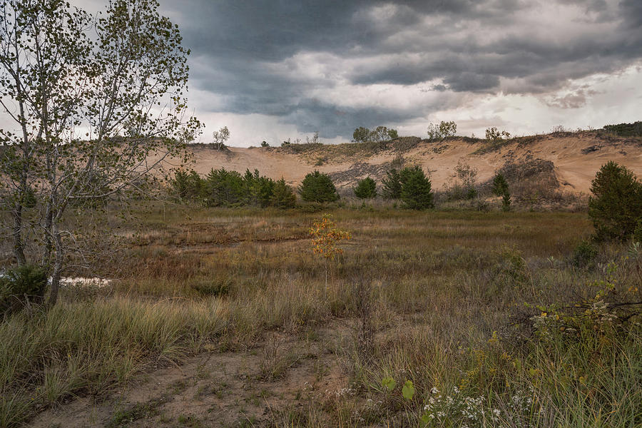 Indiana Dunes And The Beckoning Storm Photograph