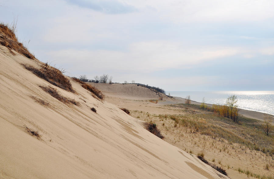 Indiana Dunes National Lakeshore Mt Baldy Photograph by Kyle Hanson