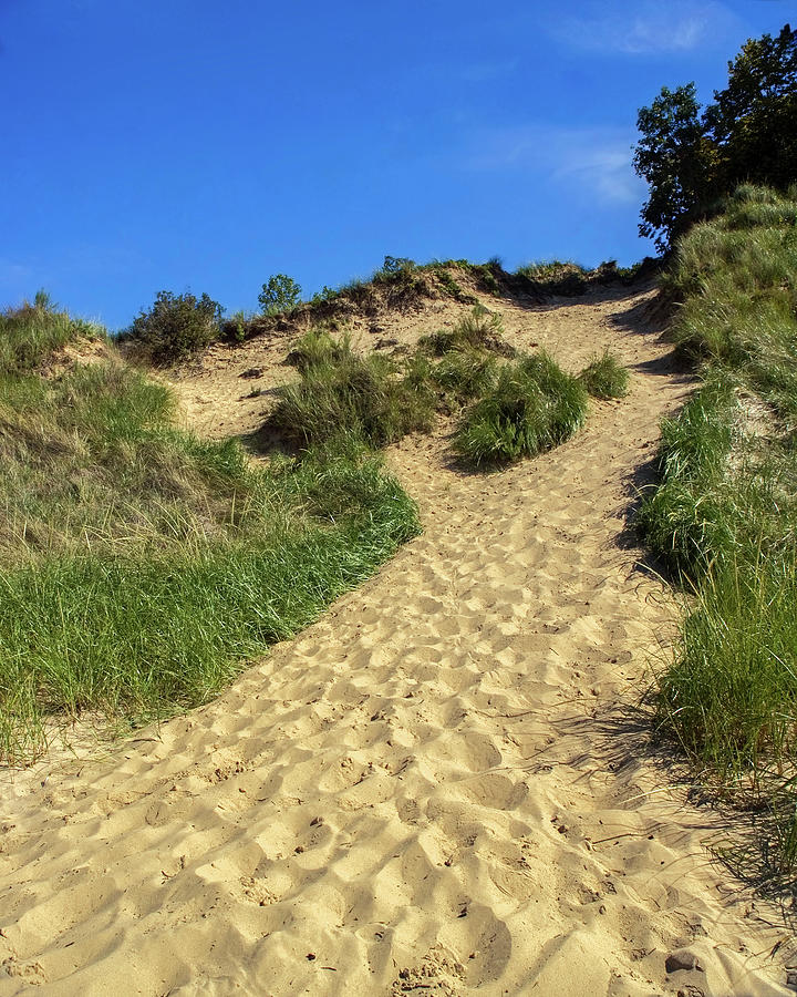 Indiana Dunes National Lakeshore Photograph by Sally Weigand
