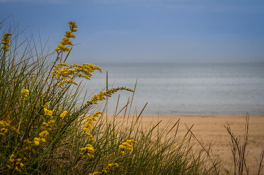 Indiana Dunes on Lake Michigan Photograph by Ron Pate