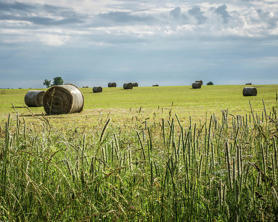 Indiana Rural Farmland Photograph by Greg Sommer Pixels