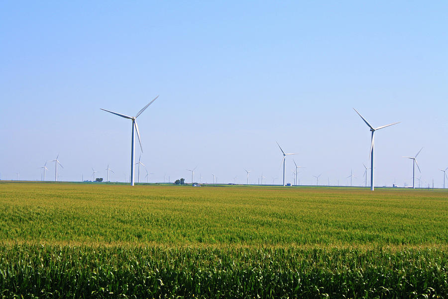 Indiana Wind Turbine Farm Photograph