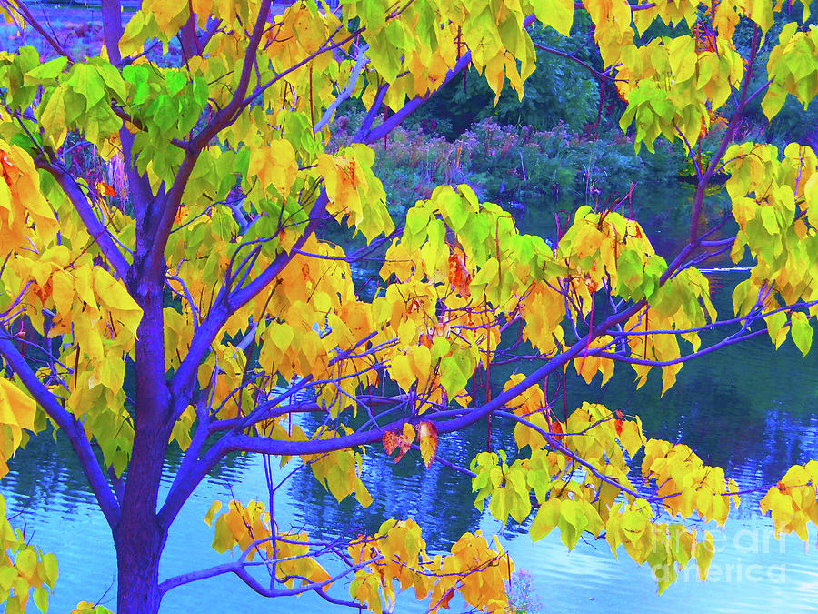 Indigo Autumn Digital Art by Ann Johndro-Collins