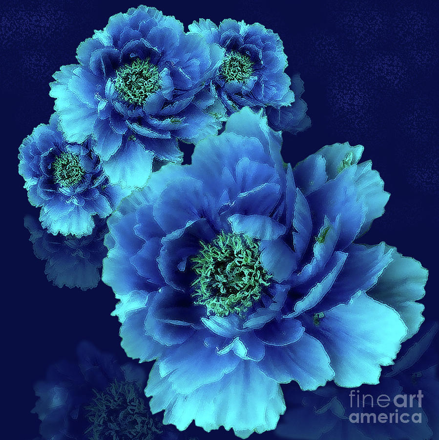 Indigo Blue At Midnight Digital Art by J Marielle