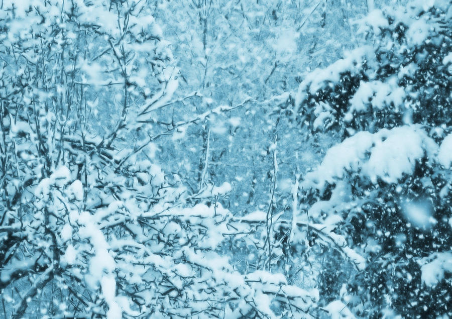 Nature Photograph - Indigo Blue Snowfall by Mary Wolf