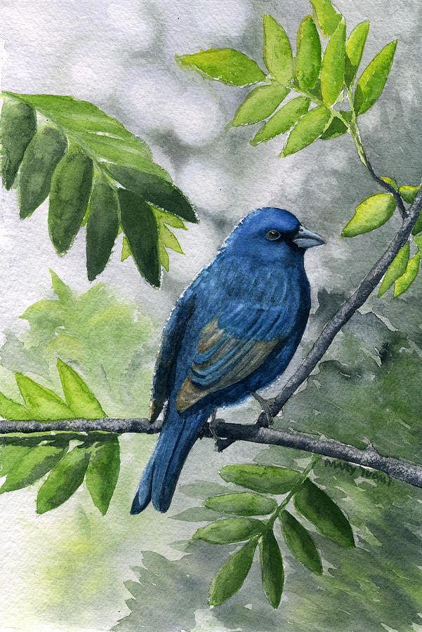 Nature Painting - Indigo Bunting by Mary Tuomi