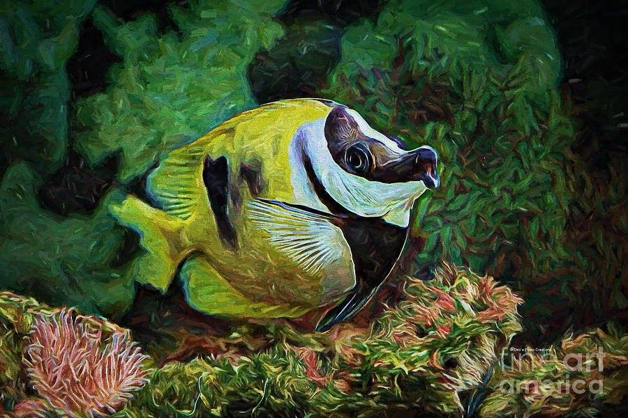 Indigo Fish Painting by Deborah Benoit