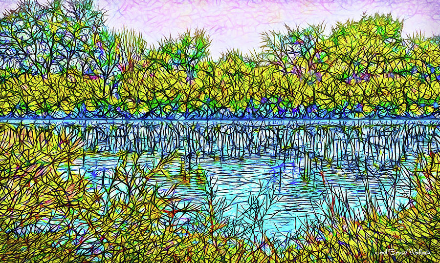 Tree Digital Art - Indigo Pond - Lake In Boulder County Colorado by Joel Bruce Wallach