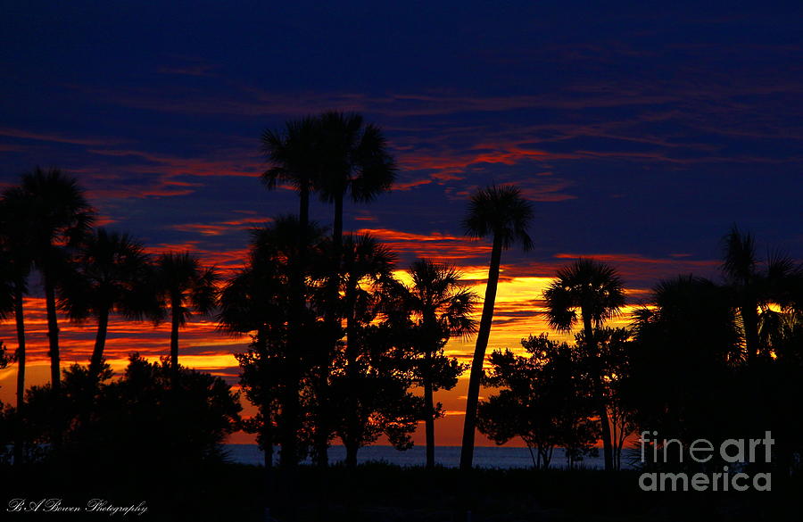 Indigo Sunset Photograph by Barbara Bowen