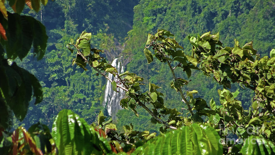 Indonesian Mountain Waterfalls Photograph by Eunice Warfel
