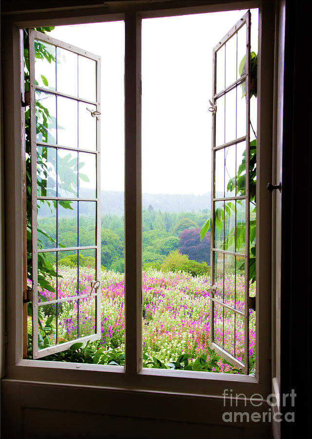 Indoors looking our through window into a beautiful garden Photograph by Maggie Mccall