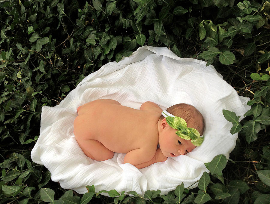 Newborn Infant Lying in Ivy Photograph by Ginger Wakem