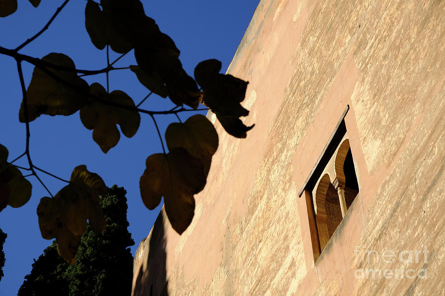 Architecture Photograph - Cautiva Tower window in the Alhambra by Guido Montanes Castillo