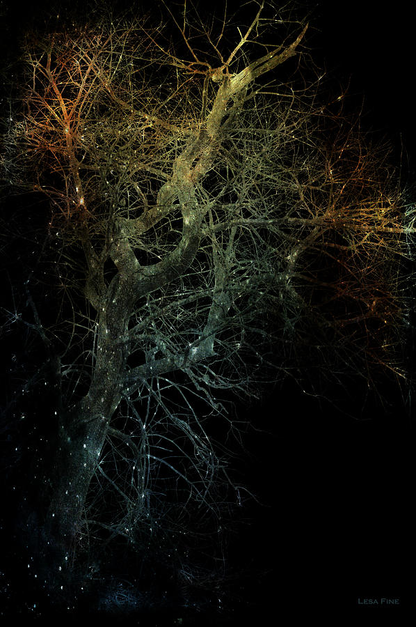 Infared Tree Art Dance of the Lightning Bugs Photograph by Lesa Fine