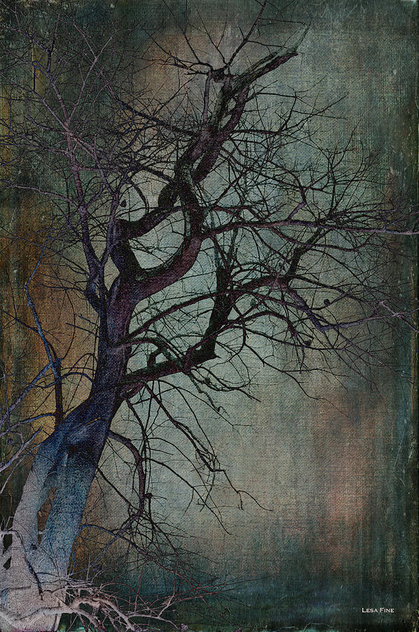 Infared Tree Art Twisted Branches Mixed Media by Lesa Fine