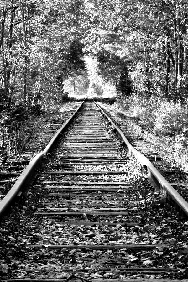 Infinity Train Photograph by Greg Fortier