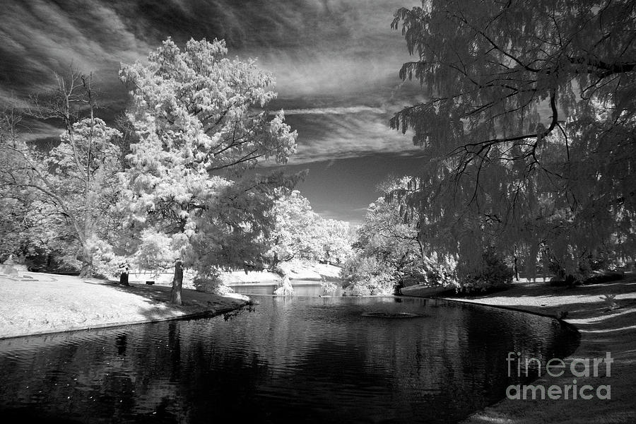 Infrared Beauty Photograph by FineArtRoyal Joshua Mimbs