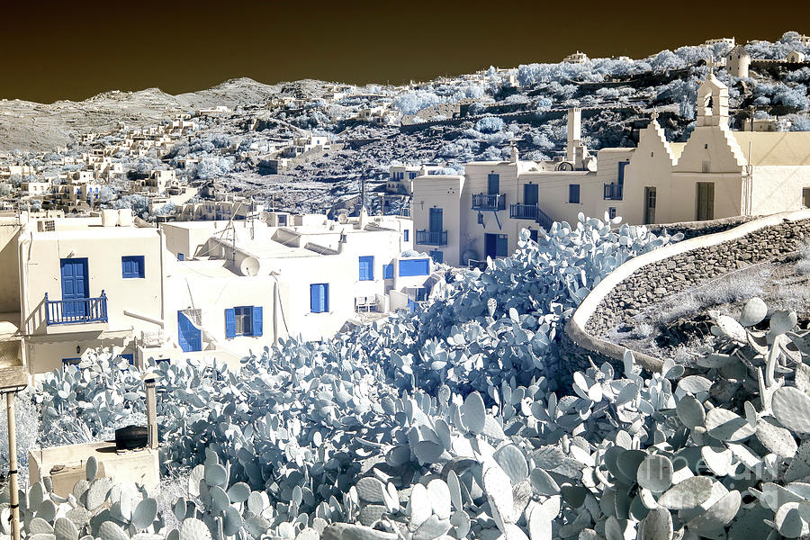 Infrared Cactus at Mykonos Town Photograph by John Rizzuto
