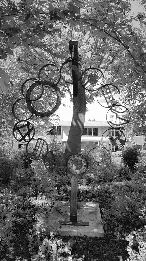 Infrared Circles Photograph by Melissa Coffield