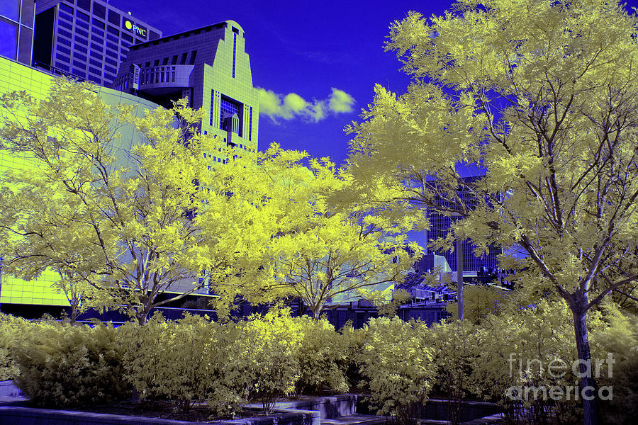 Infrared City Park Photograph by FineArtRoyal Joshua Mimbs