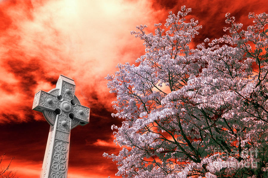 Infrared Cross Photograph by FineArtRoyal Joshua Mimbs
