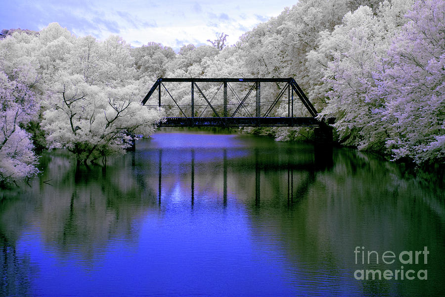Infrared deep blue Photograph by FineArtRoyal Joshua Mimbs