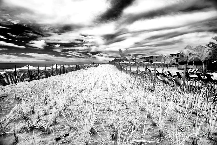 Infrared Dune Grass at Long Beach Island Photograph by John Rizzuto
