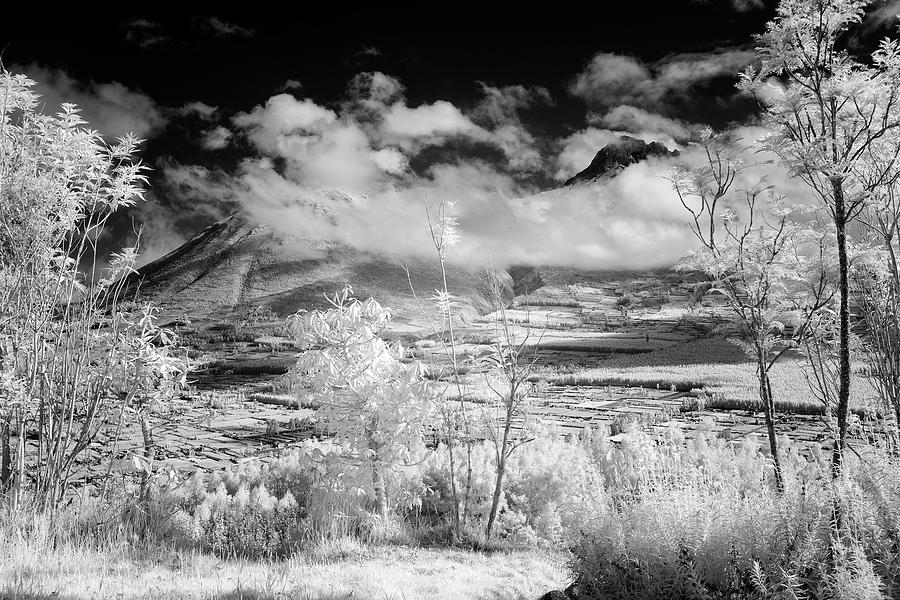 Infrared Ecuador Highlands Photograph